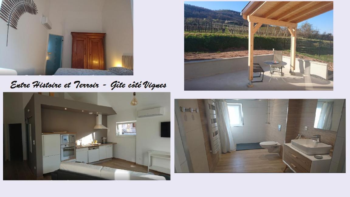 Entre Histoire et Terroir - 2 Gîtes de Charme Kintzheim Extérieur photo